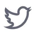twitter logo media icon